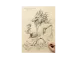 八歲龍女赴法華會